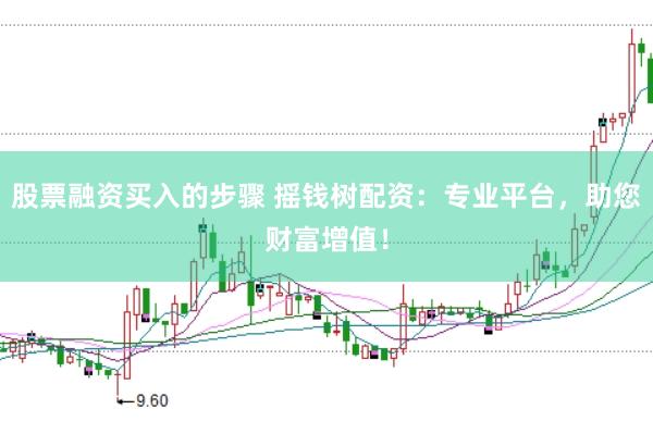 股票融资买入的步骤 摇钱树配资：专业平台，助您财富增值！
