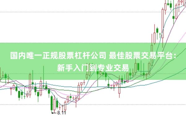 国内唯一正规股票杠杆公司 最佳股票交易平台：新手入门到专业交易