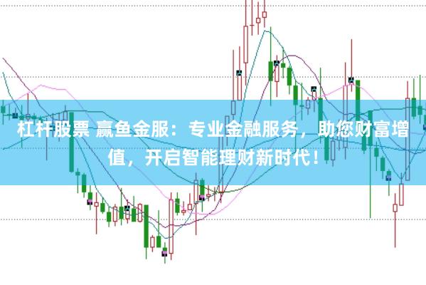 杠杆股票 赢鱼金服：专业金融服务，助您财富增值，开启智能理财新时代！