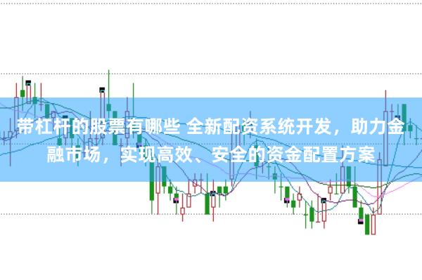 带杠杆的股票有哪些 全新配资系统开发，助力金融市场，实现高效、安全的资金配置方案