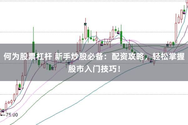 何为股票杠杆 新手炒股必备：配资攻略，轻松掌握股市入门技巧！
