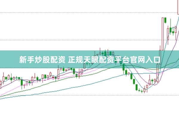 新手炒股配资 正规天眼配资平台官网入口