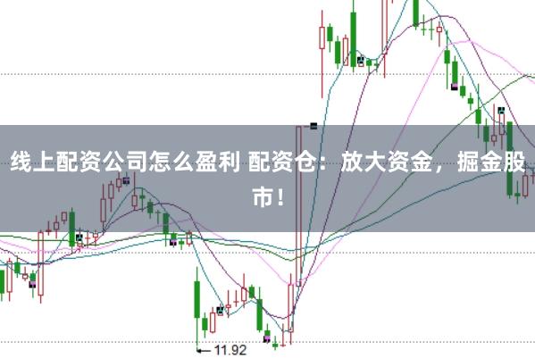 线上配资公司怎么盈利 配资仓：放大资金，掘金股市！
