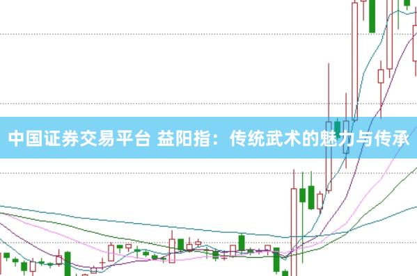 中国证券交易平台 益阳指：传统武术的魅力与传承