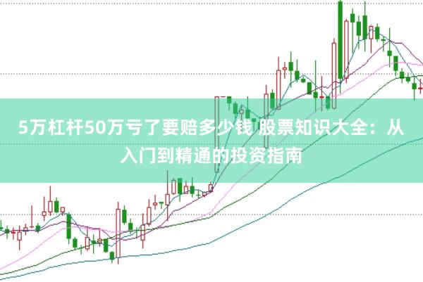 5万杠杆50万亏了要赔多少钱 股票知识大全：从入门到精通的投资指南