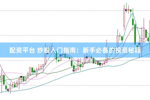 配资平台 炒股入门指南：新手必备的投资秘籍