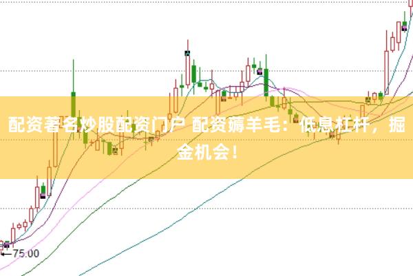配资著名炒股配资门户 配资薅羊毛：低息杠杆，掘金机会！