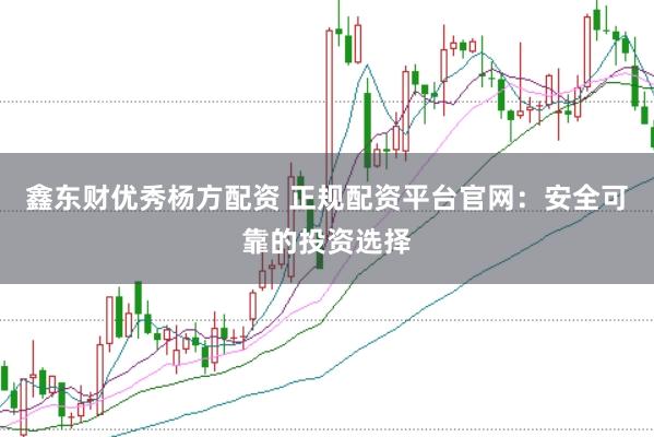 鑫东财优秀杨方配资 正规配资平台官网：安全可靠的投资选择