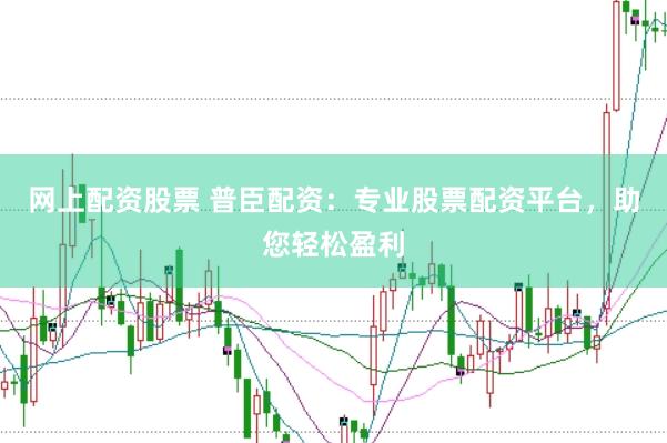 网上配资股票 普臣配资：专业股票配资平台，助您轻松盈利