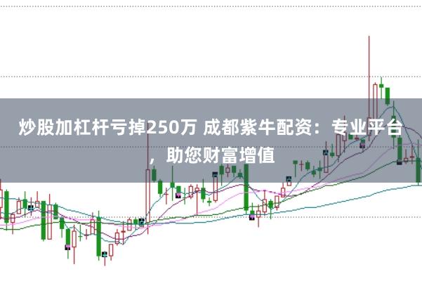 炒股加杠杆亏掉250万 成都紫牛配资:专业平台,助您财富增值
