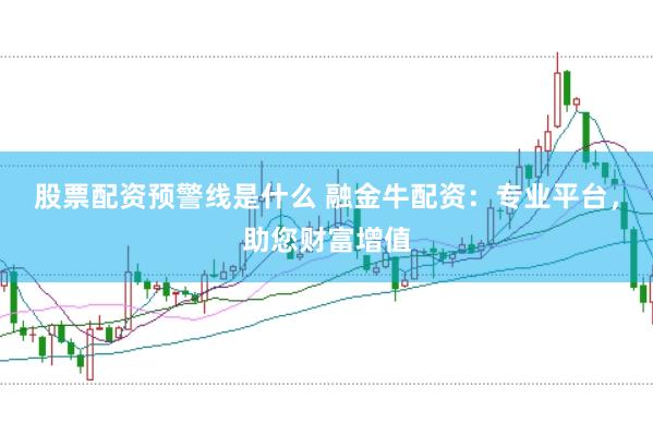 股票配资预警线是什么 融金牛配资:专业平台,助您财富增值