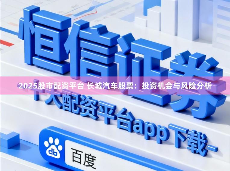 2025股市配资平台 长城汽车股票:投资机会与风险分析