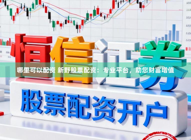 哪里可以配资 新野股票配资：专业平台，助您财富增值